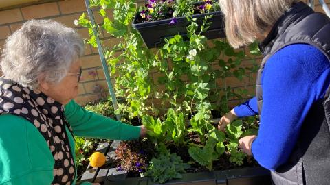 Garden Tours